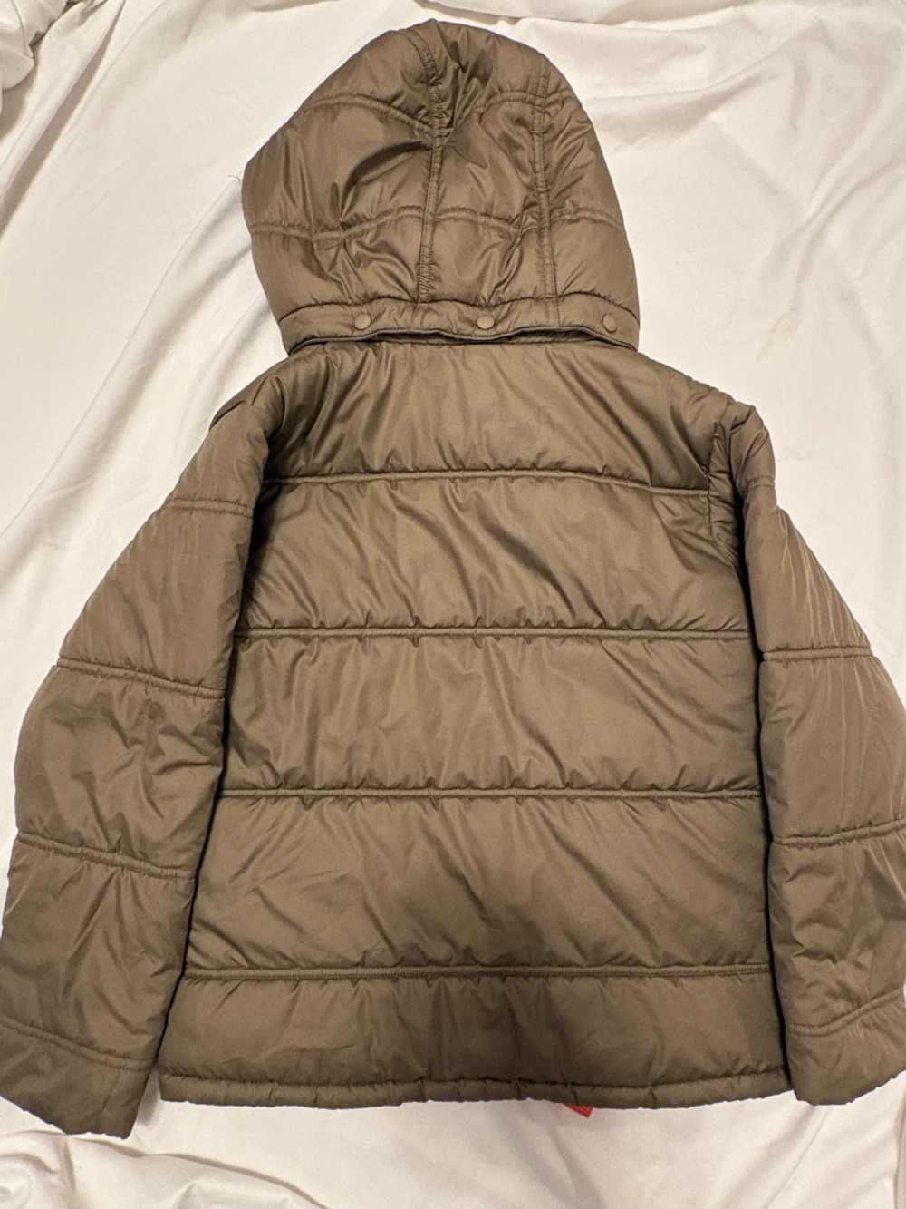 Patagonia kids Puffer Jacket in Olive - Picture 5 of 5